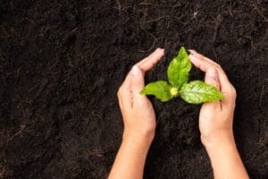Fertility Preservation for Female Battling Cancer