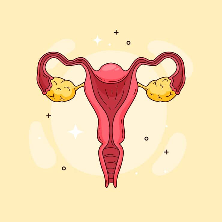 Bulky Uterus