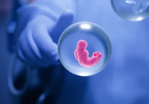IVF Frozen Embryo Transfer