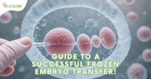 IVF Frozen Embro Transfer