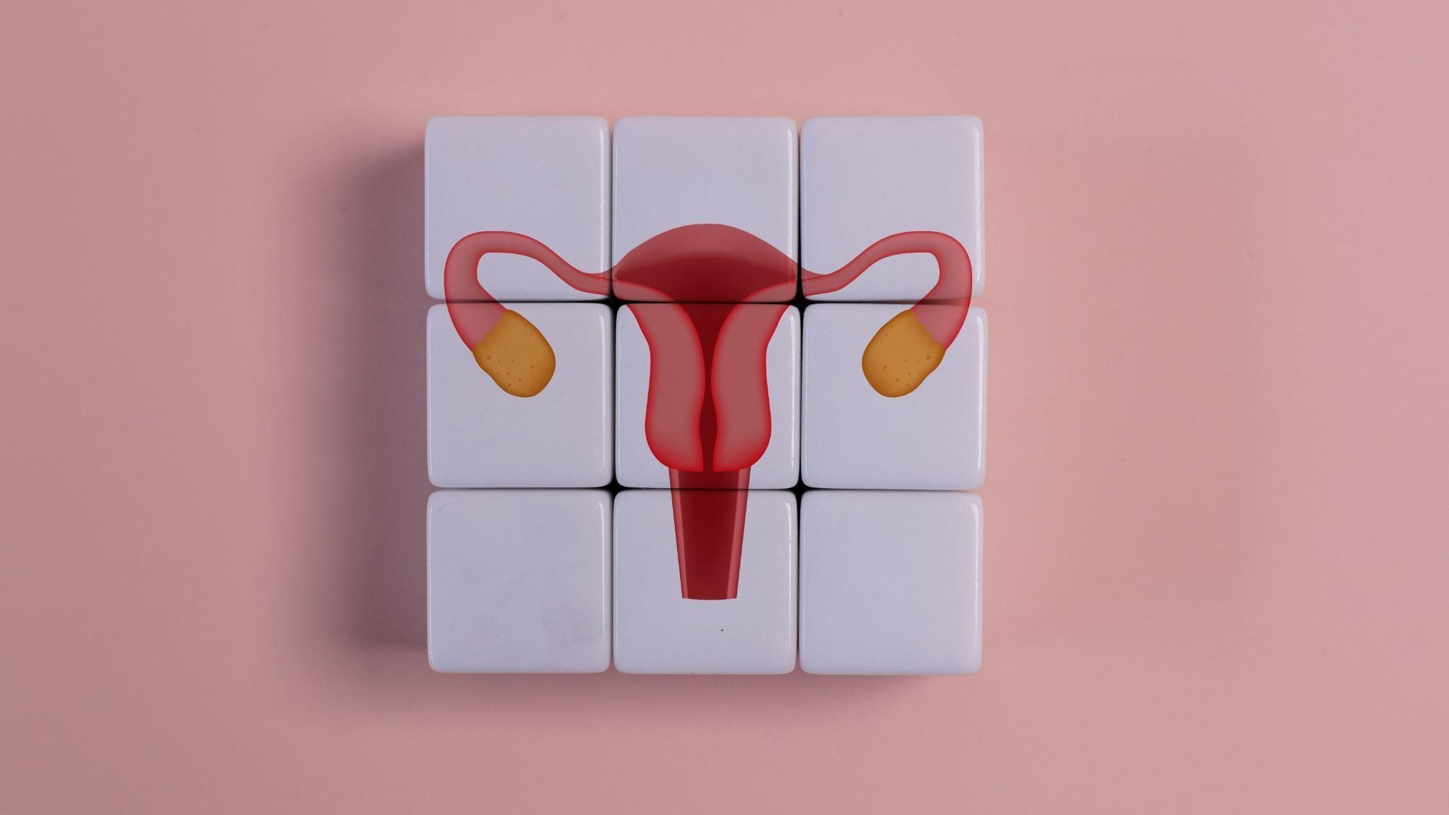 Life After Menopause