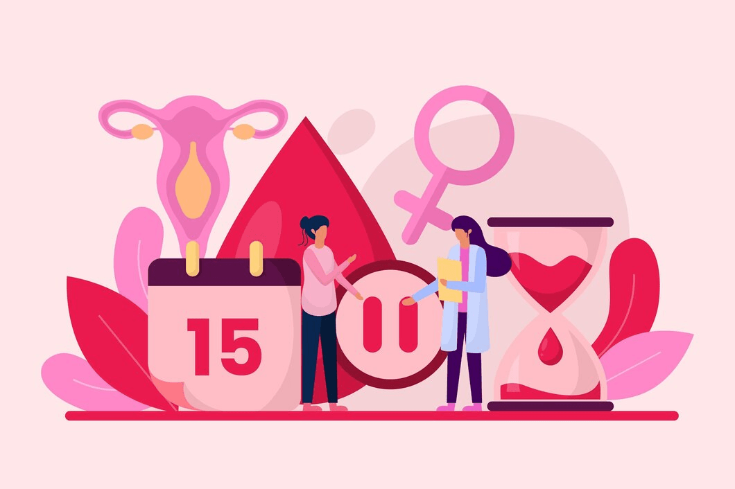 Menstrual Cycle Changes 