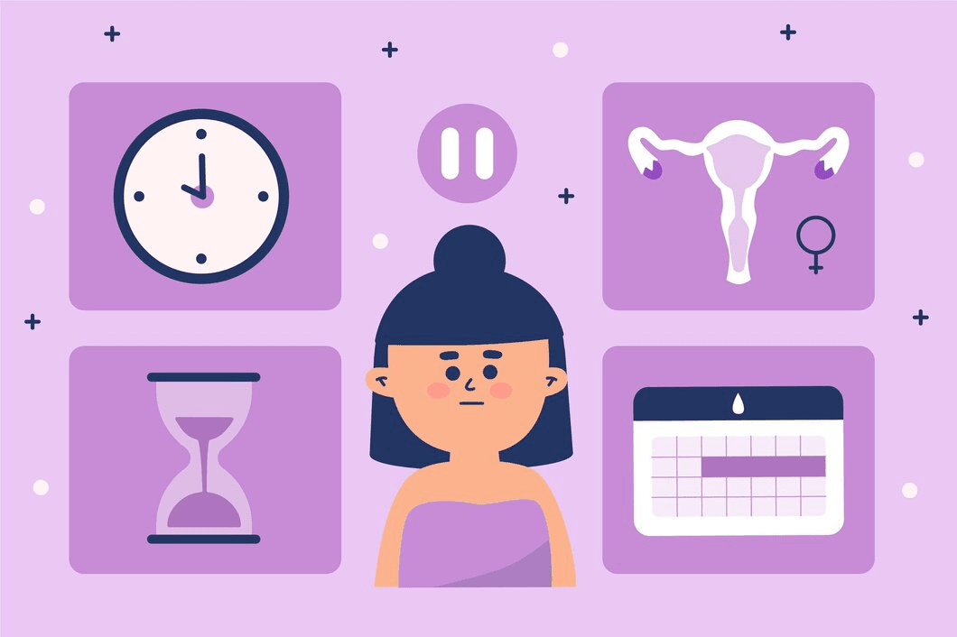 Menstrual Cycle last