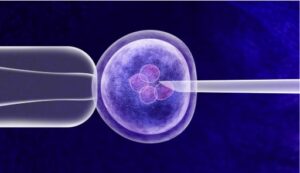 After How Many Weeks IVF Pregnancy Is Safe?