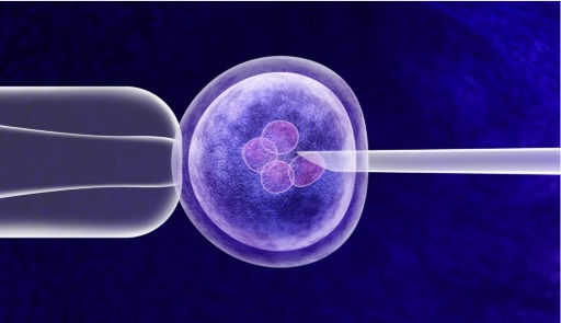After How Many Weeks IVF Pregnancy Is Safe?