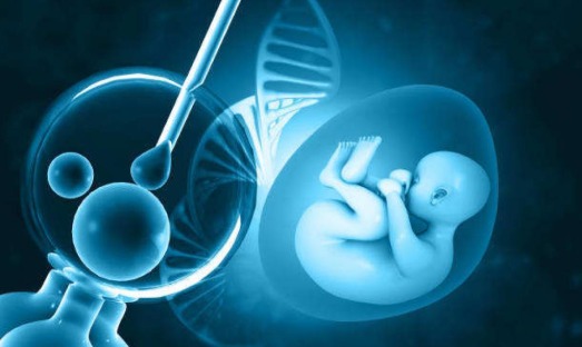 IVF first trimester safety