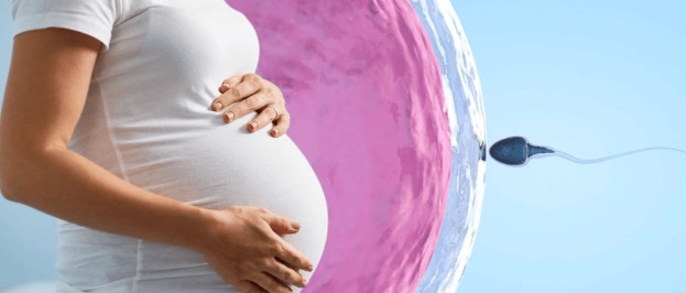 Implantation success IVF