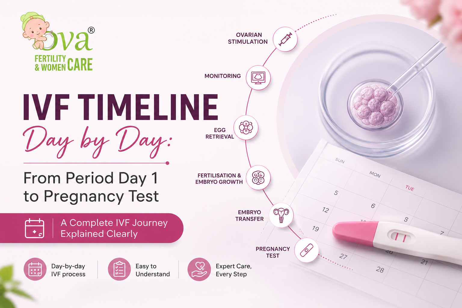 IVF Timeline Day by Day: From Period Day 1 to Pregnancy Test