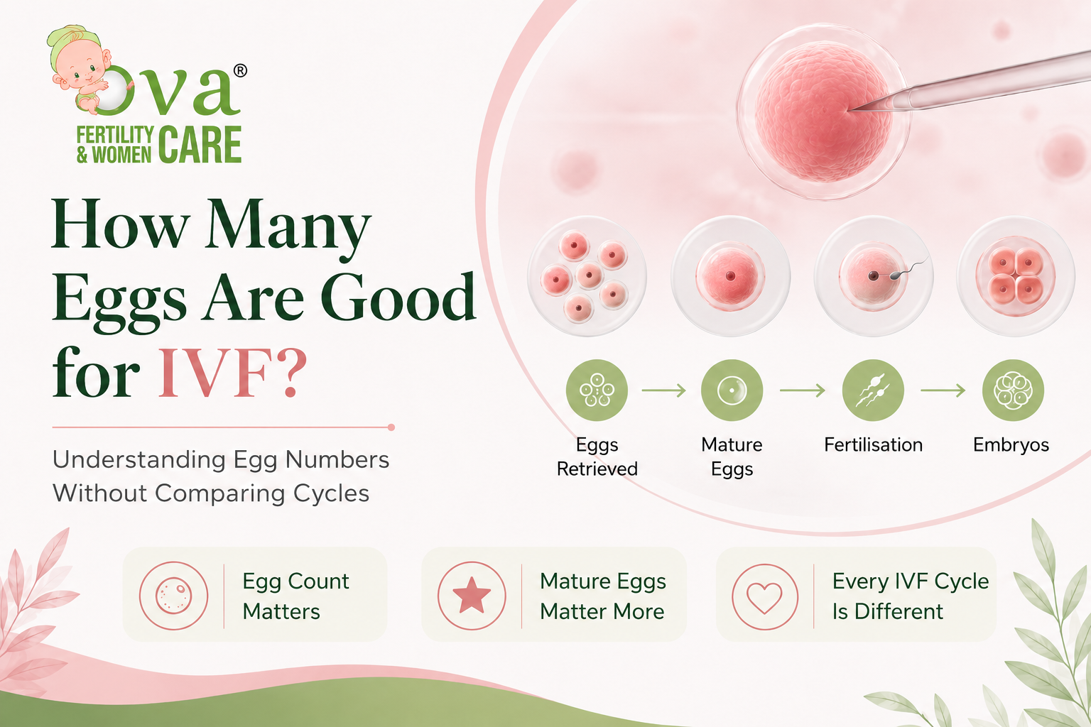How Many Eggs Are Good for IVF? Understanding Egg Numbers