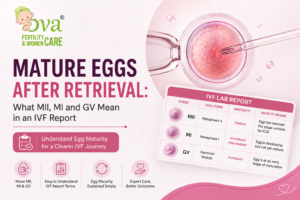 Mature Eggs After Retrieval: What MII, MI and GV Mean in an IVF Report